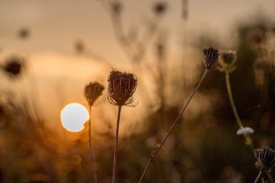 Bildnachweis: Adobe Stock #170328564 von  parallel_dream